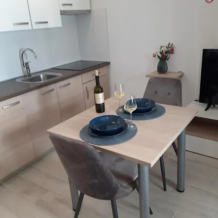 Old Town Apartment Novigrad Istria